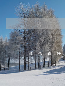 連帶責任擔保晚于主合同有效嗎