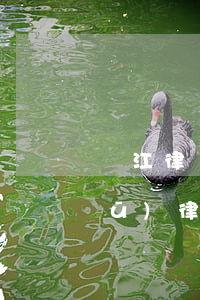 連江律師事務(wù)所在哪里(連云區(qū)律師事務(wù)所電話)