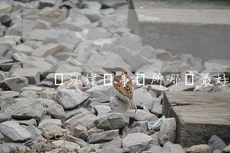 連江律師事務所哪個最好