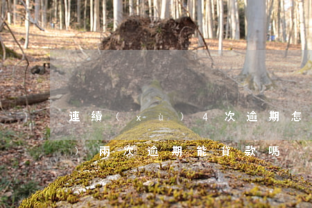 連續(xù)4次逾期怎么貸款(連續(xù)兩次逾期能貸款嗎)