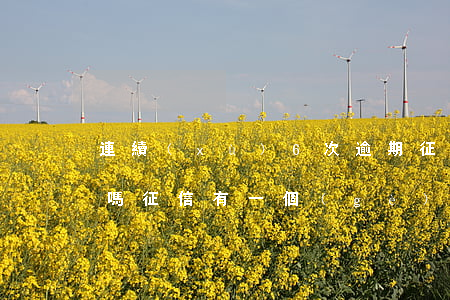 連續(xù)6次逾期征信會(huì)黑嗎(征信有一個(gè)嚴(yán)重逾期就黑了嗎)