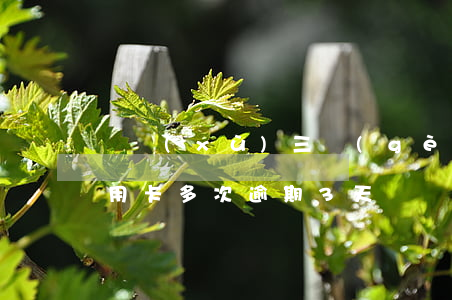 連續(xù)三個(gè)月信用卡逾期（信用卡多次逾期3天）