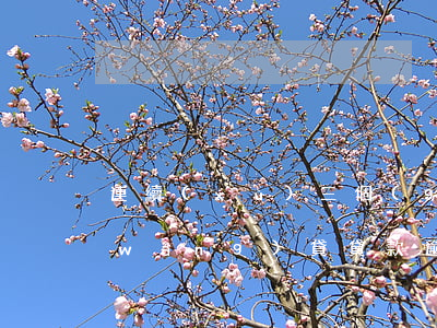 連續(xù)三個(gè)月逾期四天網(wǎng)貸(貸款逾期三四個(gè)月)