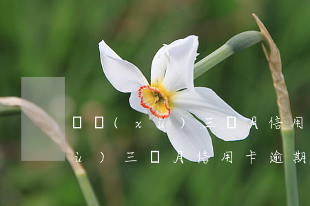 連續(xù)三個月信用卡逾期-連續(xù)三個月信用卡逾期還能做房貸嗎