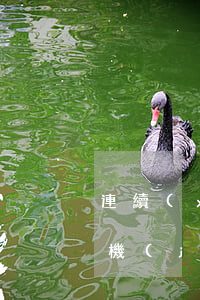 連續(xù)三年逾期未檢驗(yàn)車(機(jī)動(dòng)車逾期三年未檢驗(yàn))