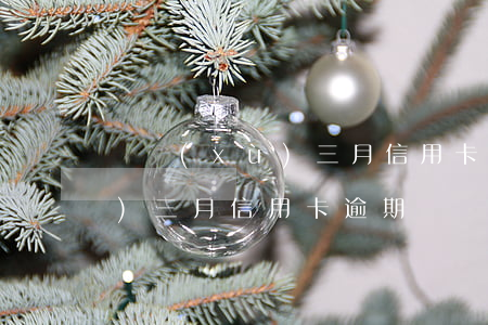 連續(xù)三月信用卡逾期-連續(xù)三月信用卡逾期