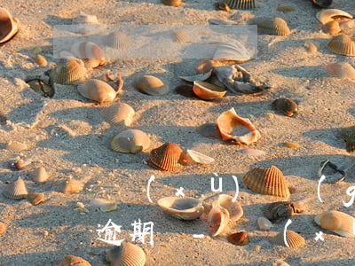 連續(xù)兩個(gè)季度逾期算首次逾期嗎-連續(xù)兩個(gè)季度逾期算首次逾期嗎知乎