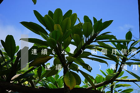 連續(xù)兩個月信用卡逾期會上征信嗎-連續(xù)兩個月信用卡逾期會上征信嗎知乎
