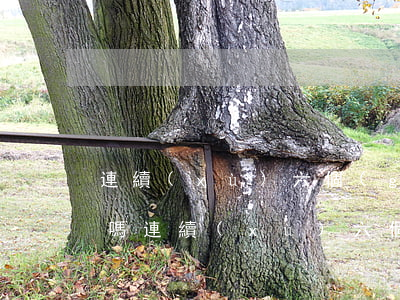 連續(xù)六個(gè)月逾期影響房貸嗎（連續(xù)六個(gè)月逾期影響）