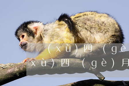 連續(xù)四個(gè)月逾期-連續(xù)四個(gè)月逾期二天
