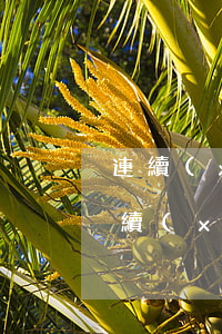 連續(xù)多次逾期1個(gè)月-連續(xù)多次逾期1個(gè)月怎么辦
