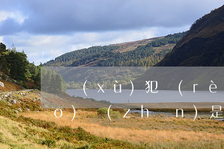 連續(xù)犯認(rèn)定標(biāo)準(zhǔn)是怎樣的