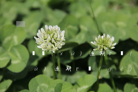 連續(xù)逾期5個(gè)月(連續(xù)逾期5個(gè)月怎么辦)