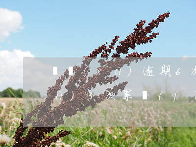 連續(xù)逾期6次可以貸款嗎(連續(xù)3次累計(jì)6次逾期貸款是什么意思)