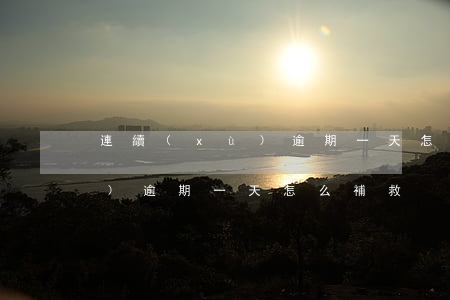 連續(xù)逾期一天怎么補救(連續(xù)逾期一天怎么補救)