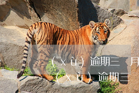 連續(xù)逾期三個月影響公積金貸款-連續(xù)逾期三個月影響公積金貸款嗎