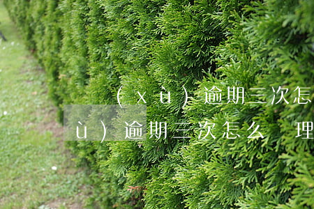 連續(xù)逾期三次怎么處理的（連續(xù)逾期三次怎么處理）