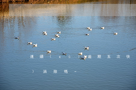 連續(xù)逾期五次快五年后會(huì)消除嗎-
