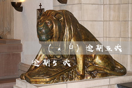 連續(xù)逾期五次貸款-連續(xù)逾期5次