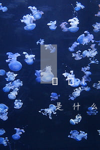 連續(xù)逾期超過(guò)六期記錄是什么意思-連續(xù)逾期超過(guò)六期記錄是什么意思啊
