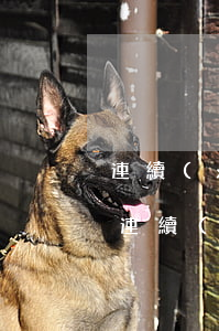 連續(xù)還3年網貸仍欠平臺17萬-連續(xù)還3年網貸仍欠平臺17萬怎么辦