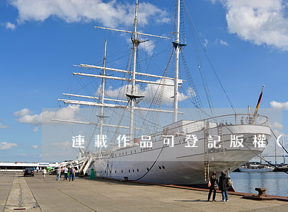 連載作品可登記版權(quán)嗎