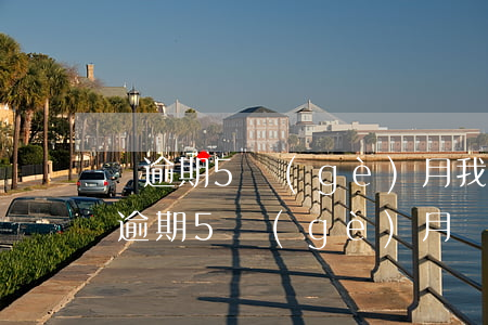 連逾期5個(gè)月(我已經(jīng)逾期5個(gè)月)