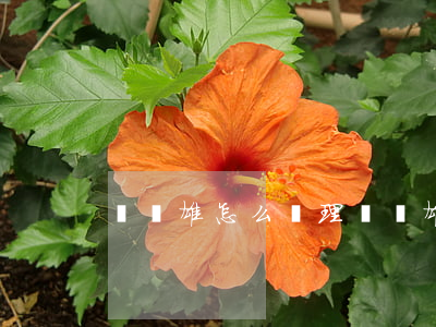 連錫雄怎么處理(連錫雄最新消息)