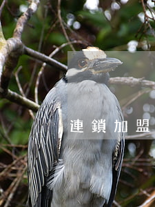 連鎖加盟必須提防的七大陷阱