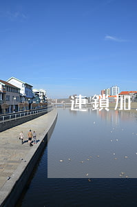 連鎖加盟：陷阱還是財路