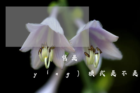 連鎖銷售是傳銷嗎(連鎖經(jīng)營(yíng)模式是不是傳銷)