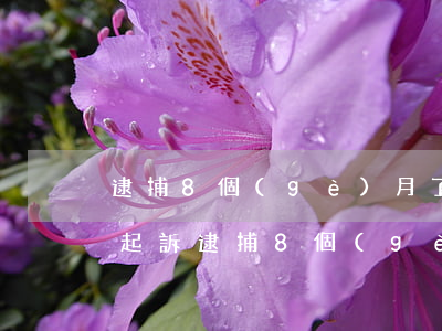 逮捕8個(gè)月了什么時(shí)候起訴(逮捕8個(gè)月了什么時(shí)候起訴)