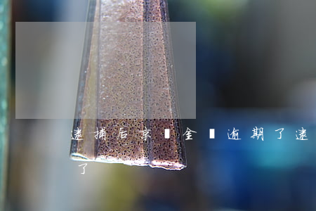 逮捕后京東金條逾期了（逮捕后京東金條逾期了）