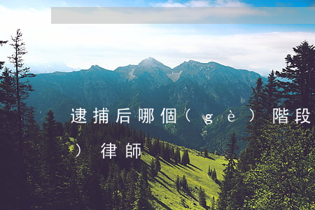 逮捕后哪個(gè)階段可以請(qǐng)律師