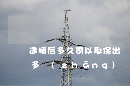 逮捕后多久可以取保出來(lái)(批捕后多長(zhǎng)時(shí)間可以取保)