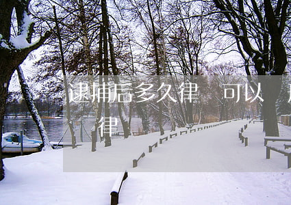 逮捕后多久律師可以見(刑事拘留后多久可以見律師)