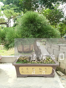 逮捕后請(qǐng)律師要多少錢(qián)