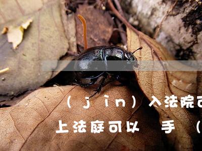 進(jìn)入法院可以帶手機(jī)嗎(上法庭可以帶手機(jī)嗎)