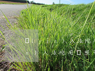 進(jìn)入法院用駕照可以嗎(進(jìn)入法院用駕照可以嗎)