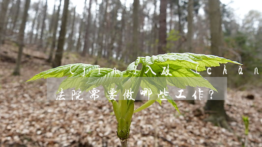 進(jìn)入破產(chǎn)還債程序，法院需要做哪些工作？