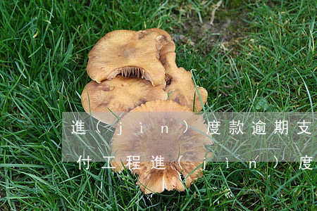 進(jìn)度款逾期支付違約處理(逾期支付工程進(jìn)度款違約金)