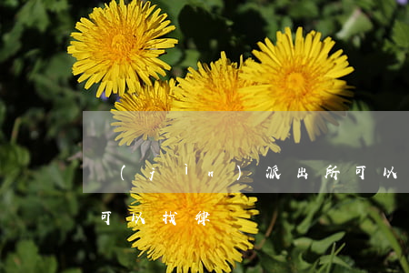 進(jìn)派出所可以找律師嗎(在派出所可以找律師嗎)