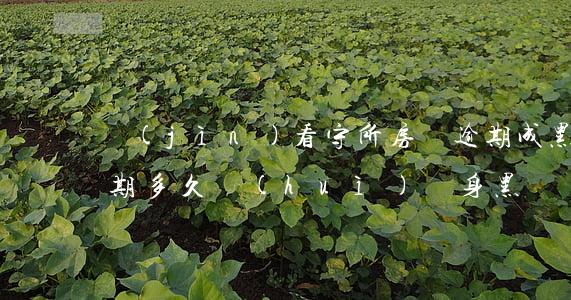 進(jìn)看守所房貸逾期成黑戶(房貸逾期多久會(huì)終身黑戶)