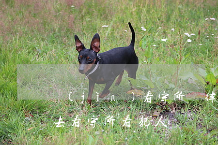 進(jìn)看守所請律師要多少錢(律師能去看守所看犯人嗎)