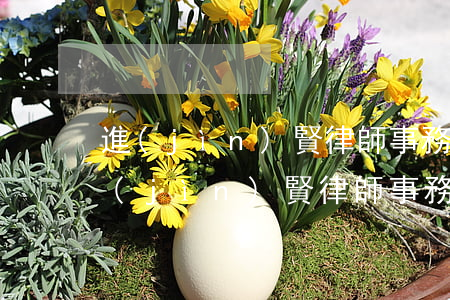 進(jìn)賢律師事務(wù)所位置(進(jìn)賢律師事務(wù)所電話)
