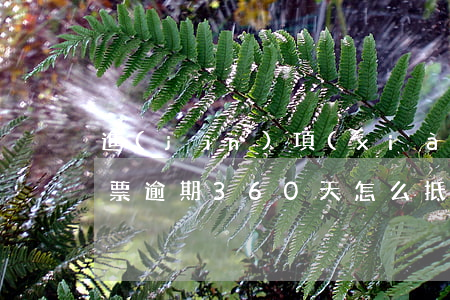 進(jìn)項(xiàng)發(fā)票逾期360天怎么抵扣