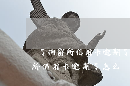 進了拘留所信用卡逾期了怎么辦-進了拘留所信用卡逾期了怎么辦呢