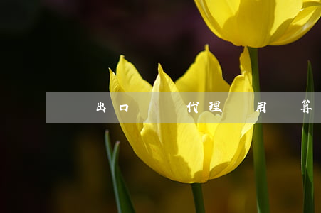 進出口貨運代理費用結算協(xié)議