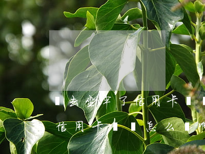 進去坐牢了信用卡沒還怎么辦-進去坐牢了信用卡沒還怎么辦啊