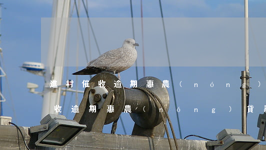 進村催收逾期惠農(nóng)貸款(進村催收逾期惠農(nóng)貸款)